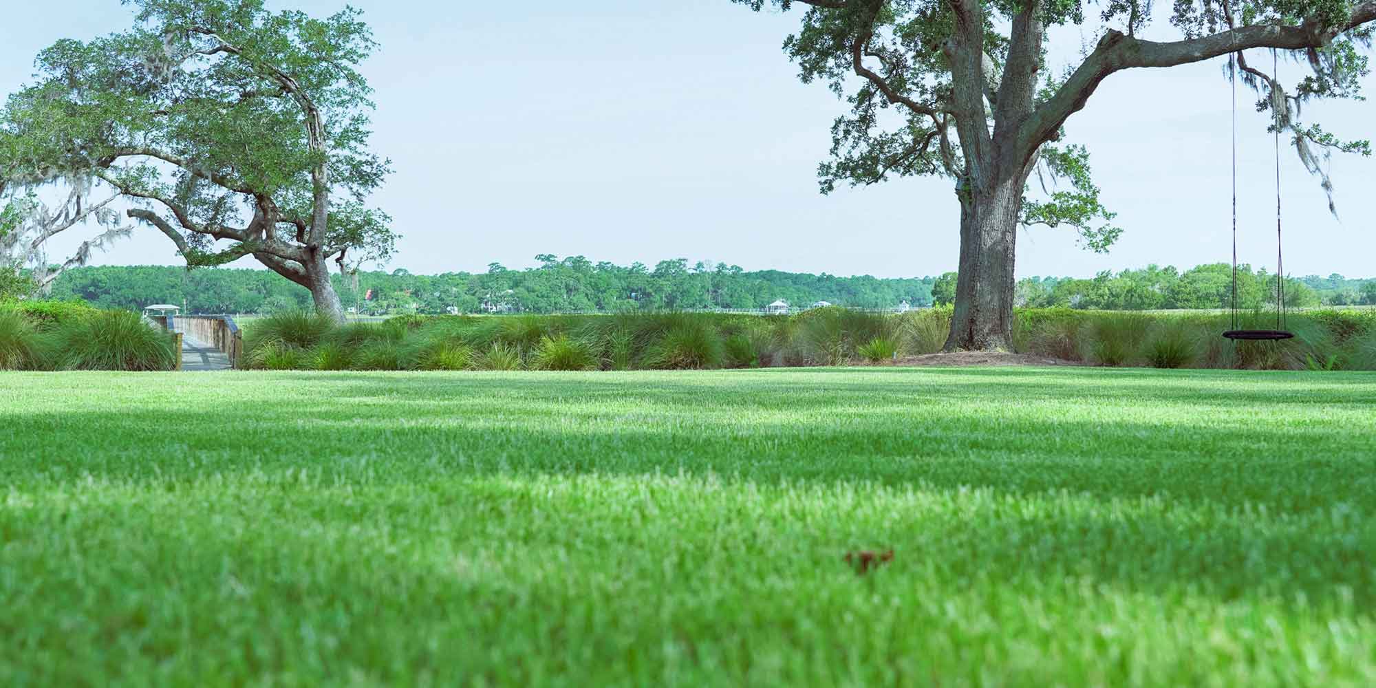 Synthetic turf backyard and poolside