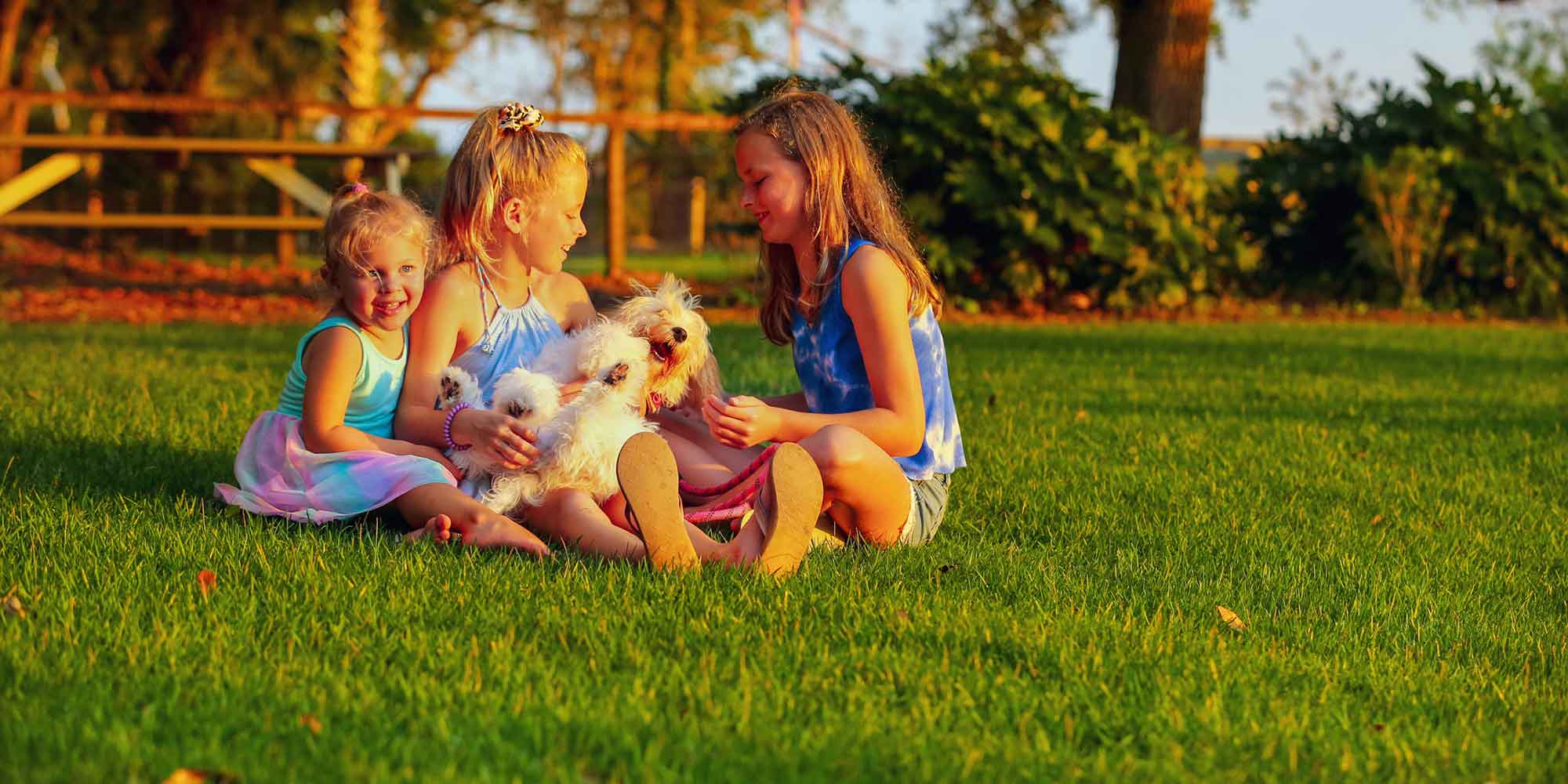 Kids and dog on synthetic turf