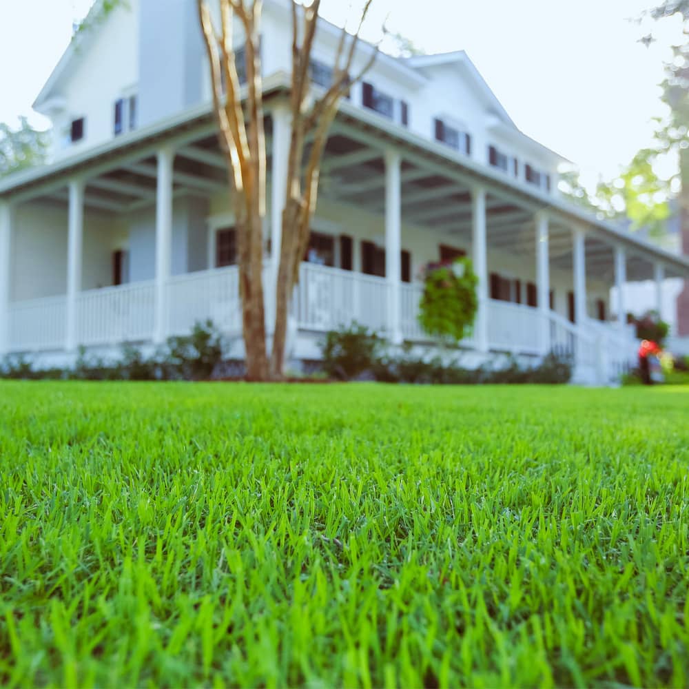 Synthetic turf putting green