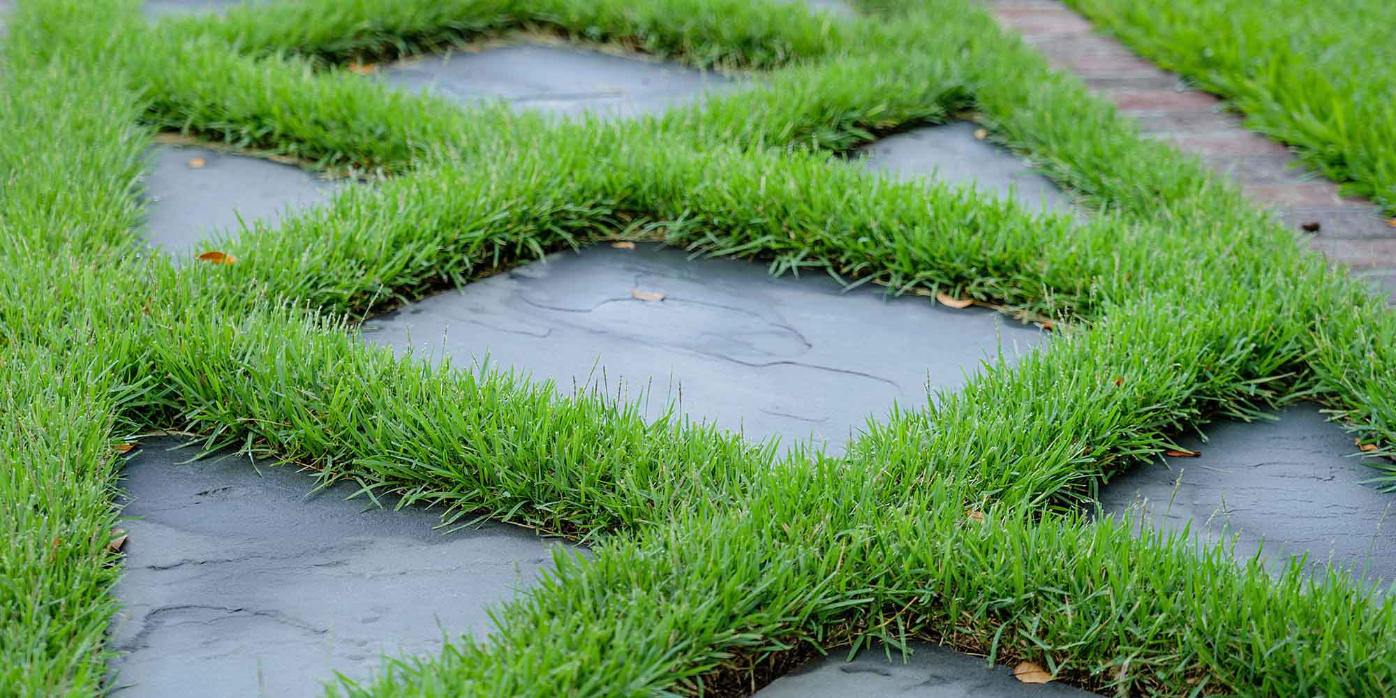 Synthetic turf around a pergola with pavers