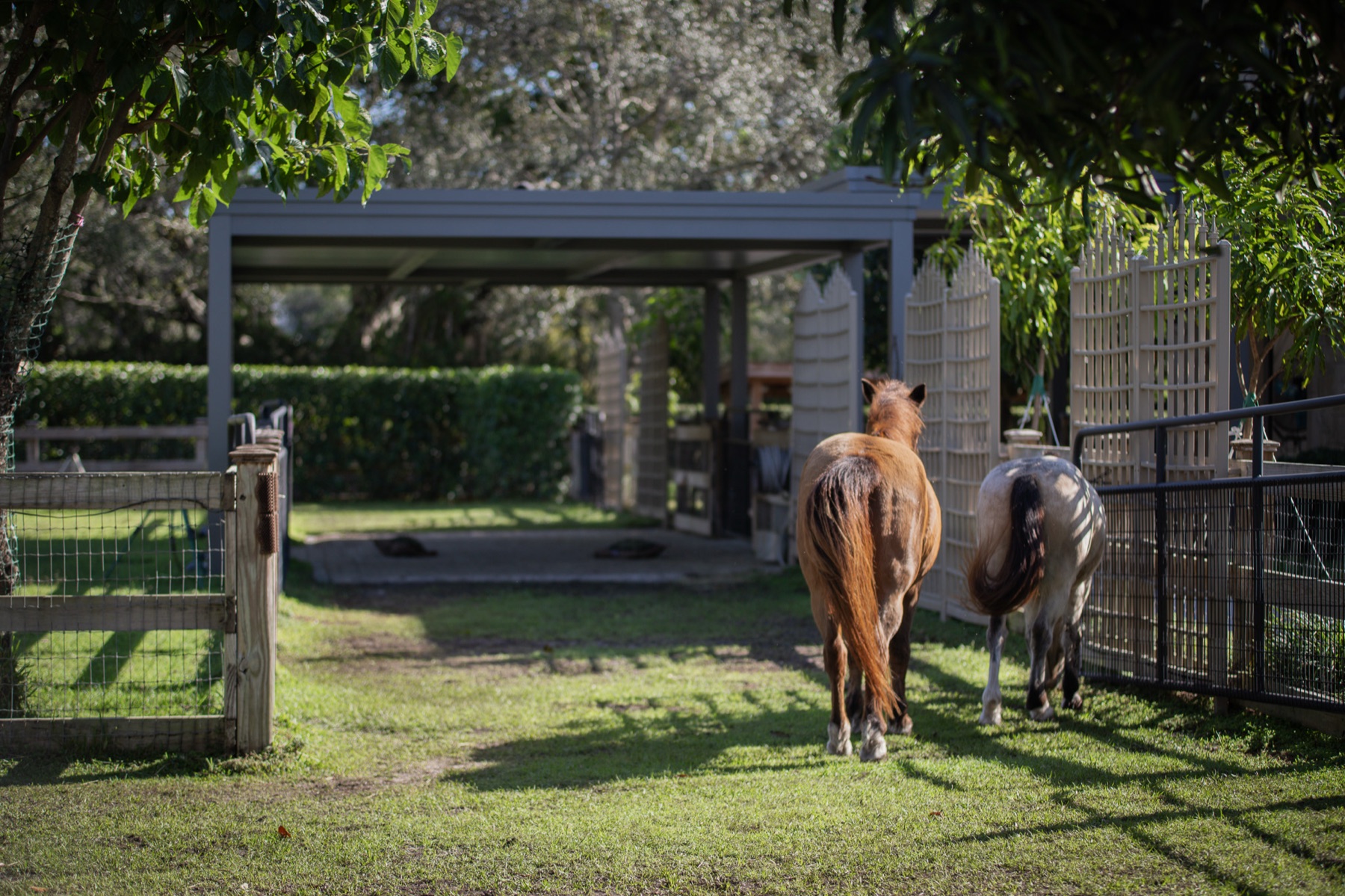 Gray-bronze R-SHADE with cornice panels