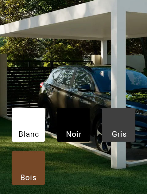 Couleurs standards de l'abri d'auto R-CAR